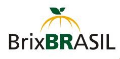 Brix Brasil